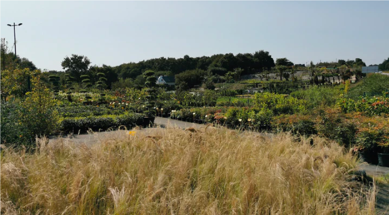 La pépinière de Penhouët