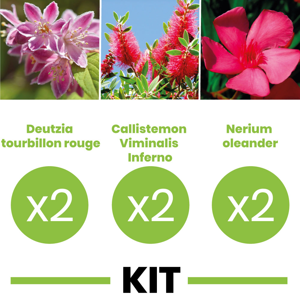 Kit haie florifère